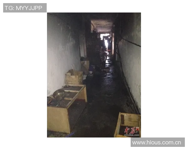 维尼修斯家中火灾调查揭示地下室桑拿房成起火源头 维尼修斯家中火灾调查揭示地下室桑拿房成起火源头