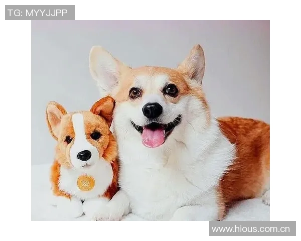 基恩与卡拉格在播客节目中巧遇撞衫引发笑料一脸懵的瞬间